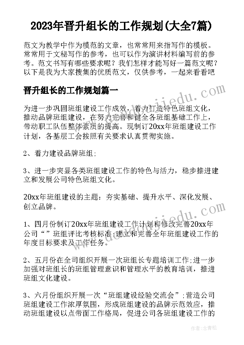 2023年晋升组长的工作规划(大全7篇)