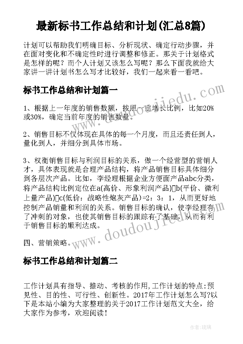 最新标书工作总结和计划(汇总8篇)