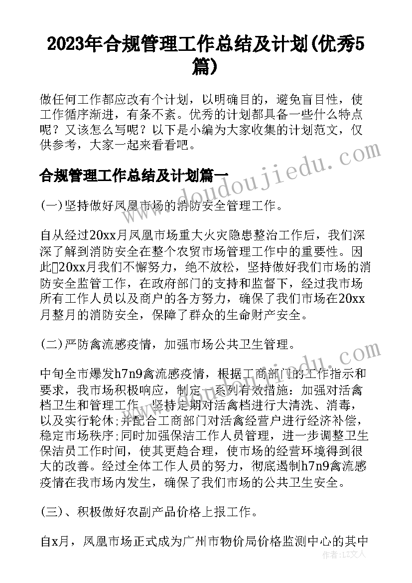 2023年合规管理工作总结及计划(优秀5篇)