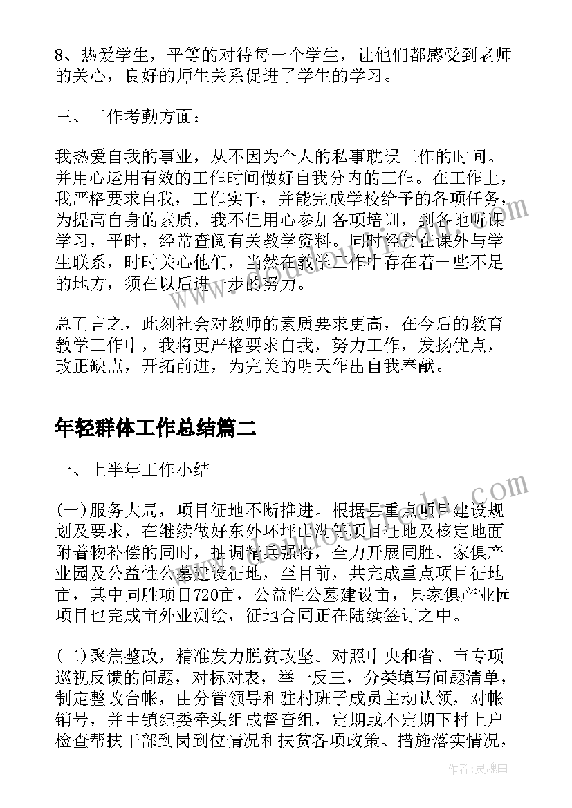 年轻群体工作总结(模板10篇)