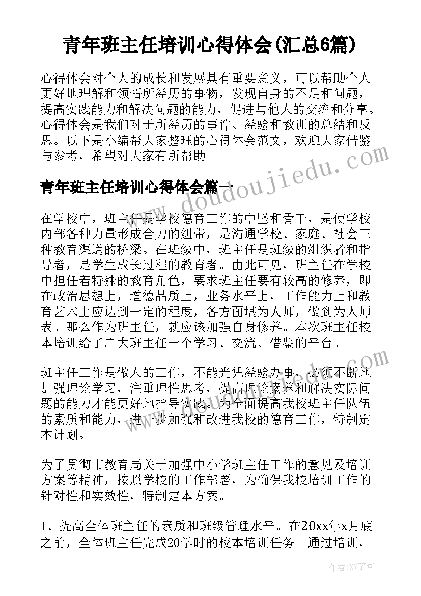 青年班主任培训心得体会(汇总6篇)