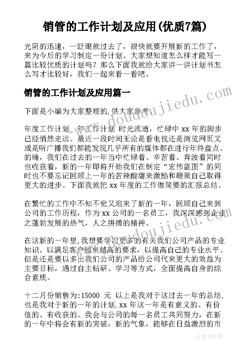 销管的工作计划及应用(优质7篇)