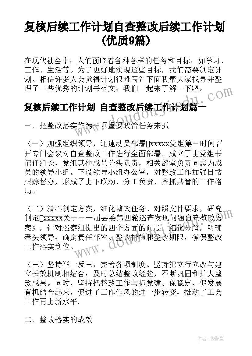 复核后续工作计划 自查整改后续工作计划(优质9篇)