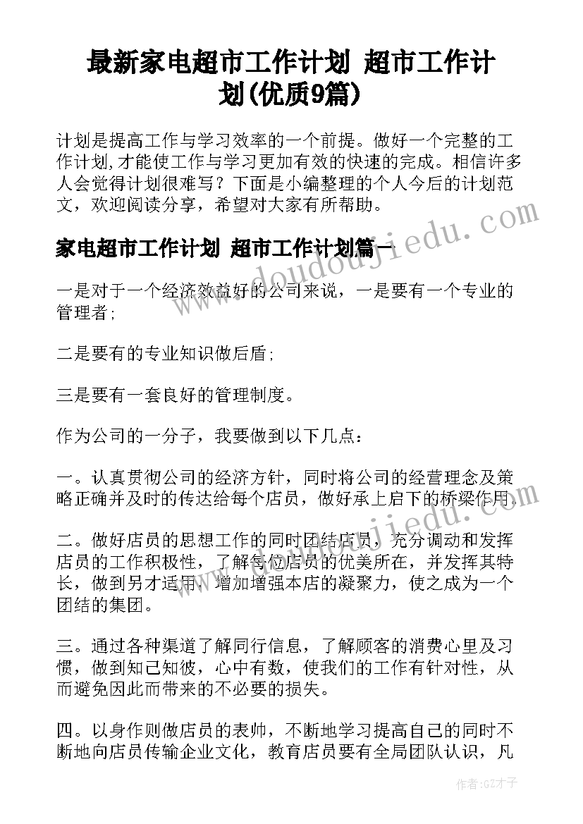 最新家电超市工作计划 超市工作计划(优质9篇)