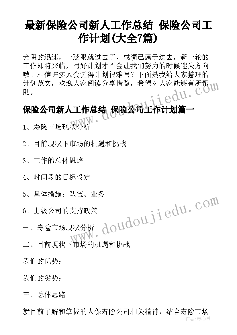 最新保险公司新人工作总结 保险公司工作计划(大全7篇)