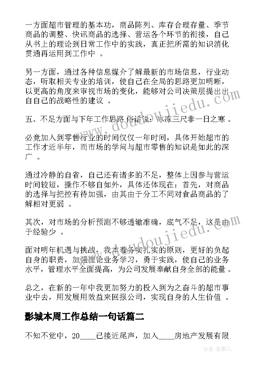 2023年影城本周工作总结一句话(精选9篇)