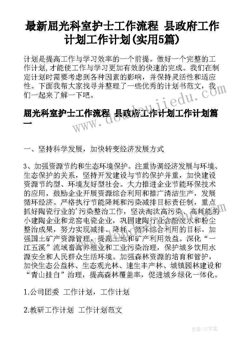 最新屈光科室护士工作流程 县政府工作计划工作计划(实用5篇)