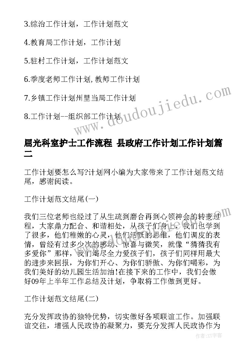 最新屈光科室护士工作流程 县政府工作计划工作计划(实用5篇)