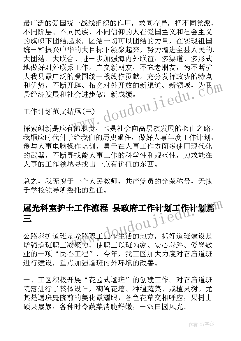 最新屈光科室护士工作流程 县政府工作计划工作计划(实用5篇)