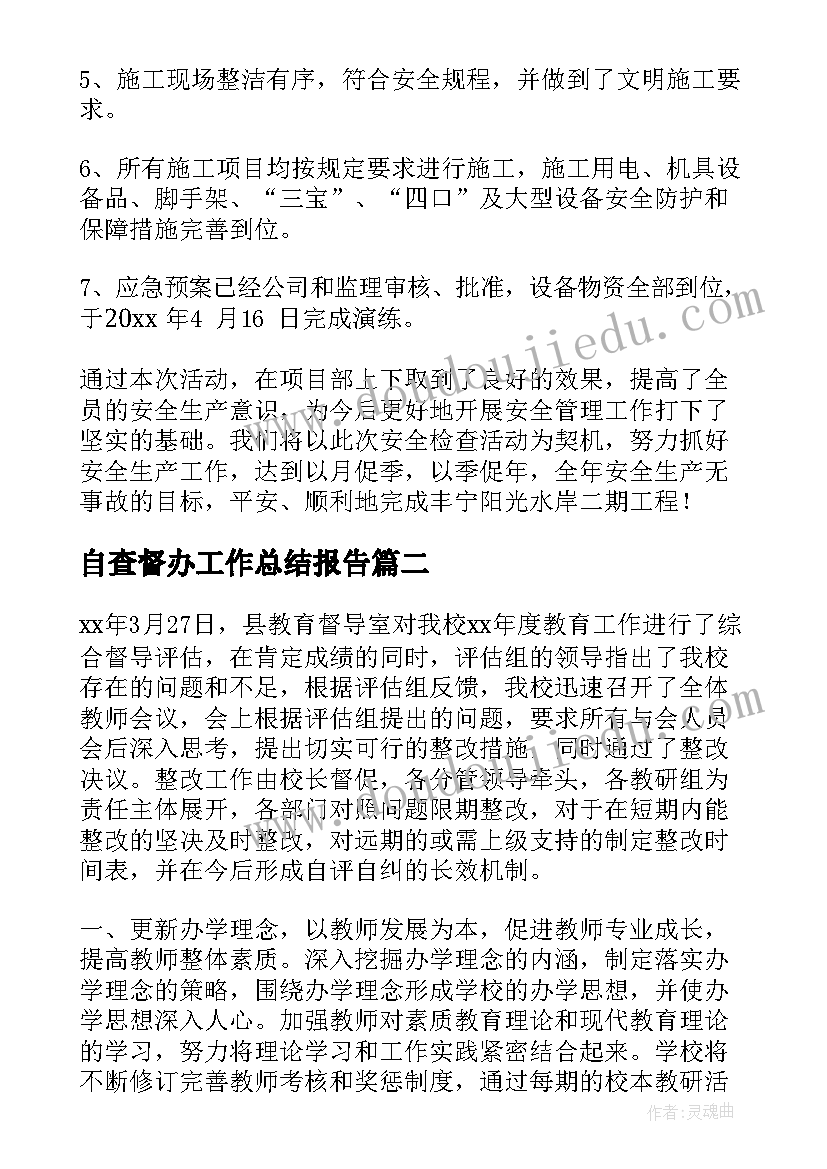 最新自查督办工作总结报告(汇总5篇)