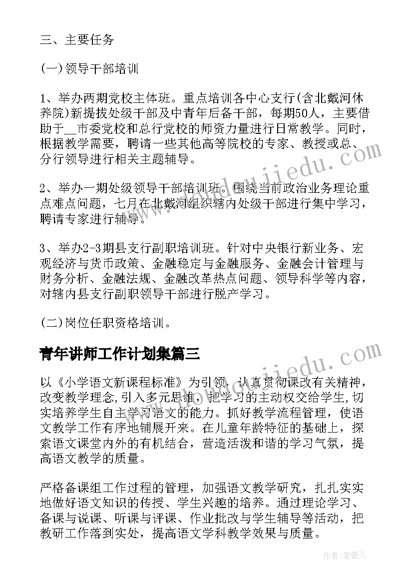 最新青年讲师工作计划集(通用5篇)