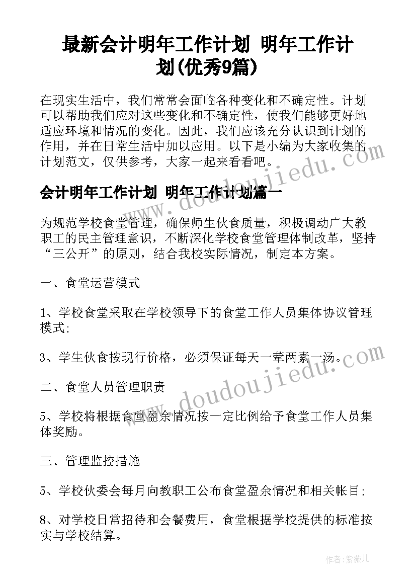 最新会计明年工作计划 明年工作计划(优秀9篇)