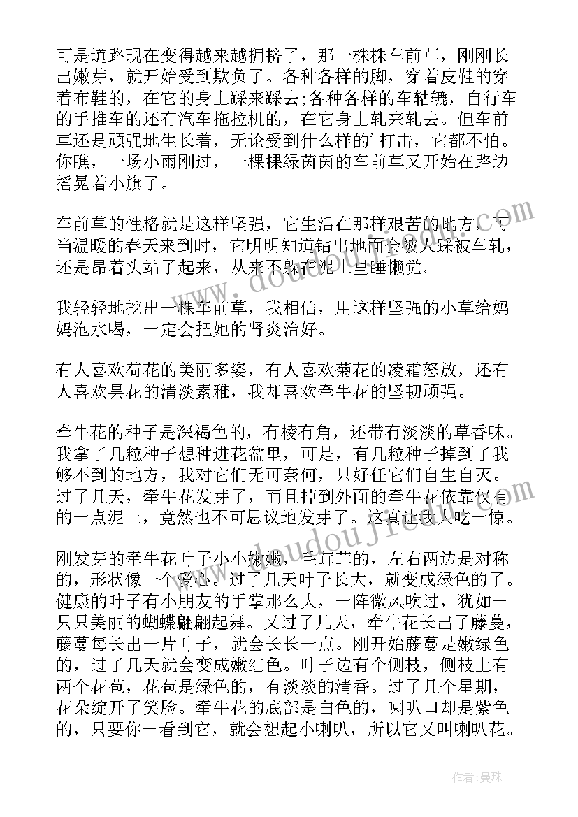 最新校友报告会简讯 校友事迹报告(通用5篇)