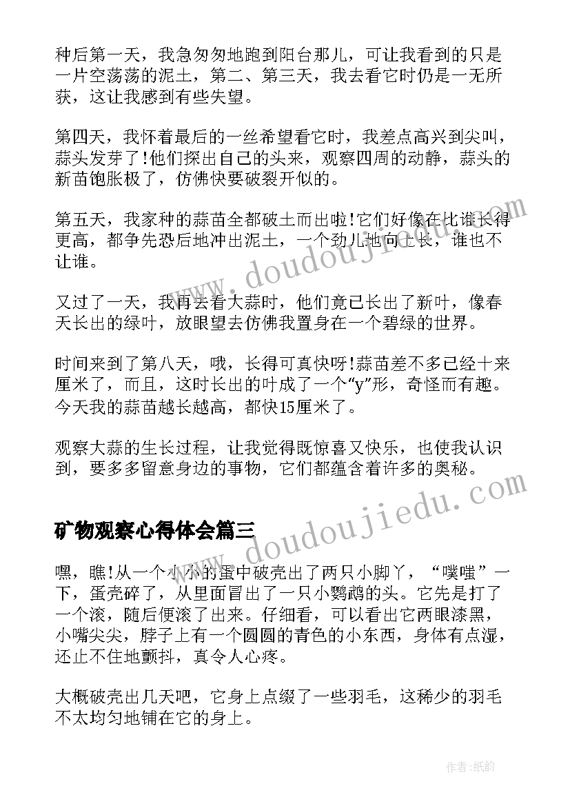 2023年矿物观察心得体会(优秀5篇)