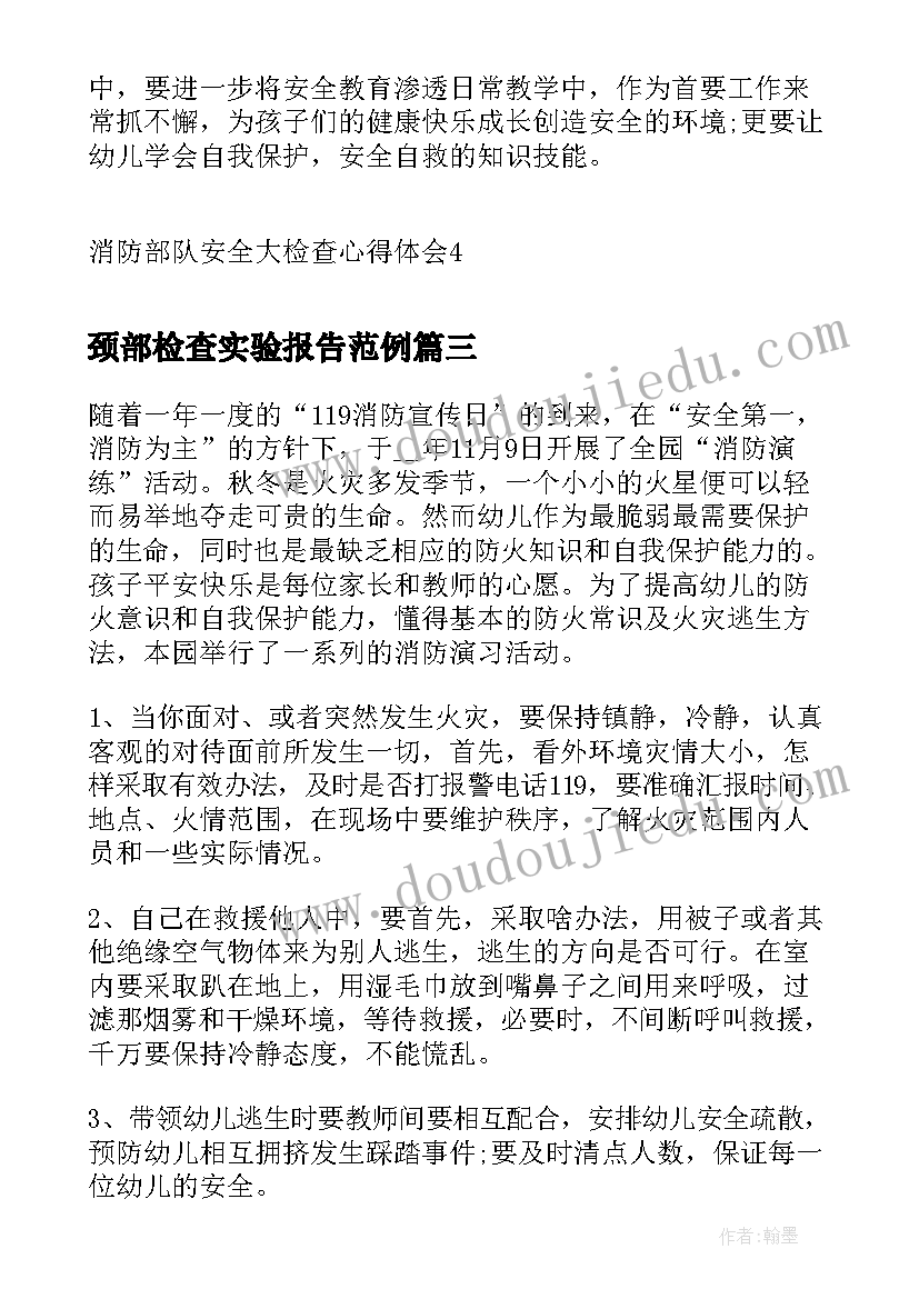 2023年颈部检查实验报告范例(优质6篇)