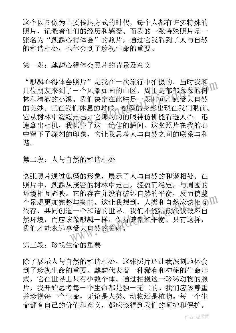 2023年拍照片的心得(优秀9篇)