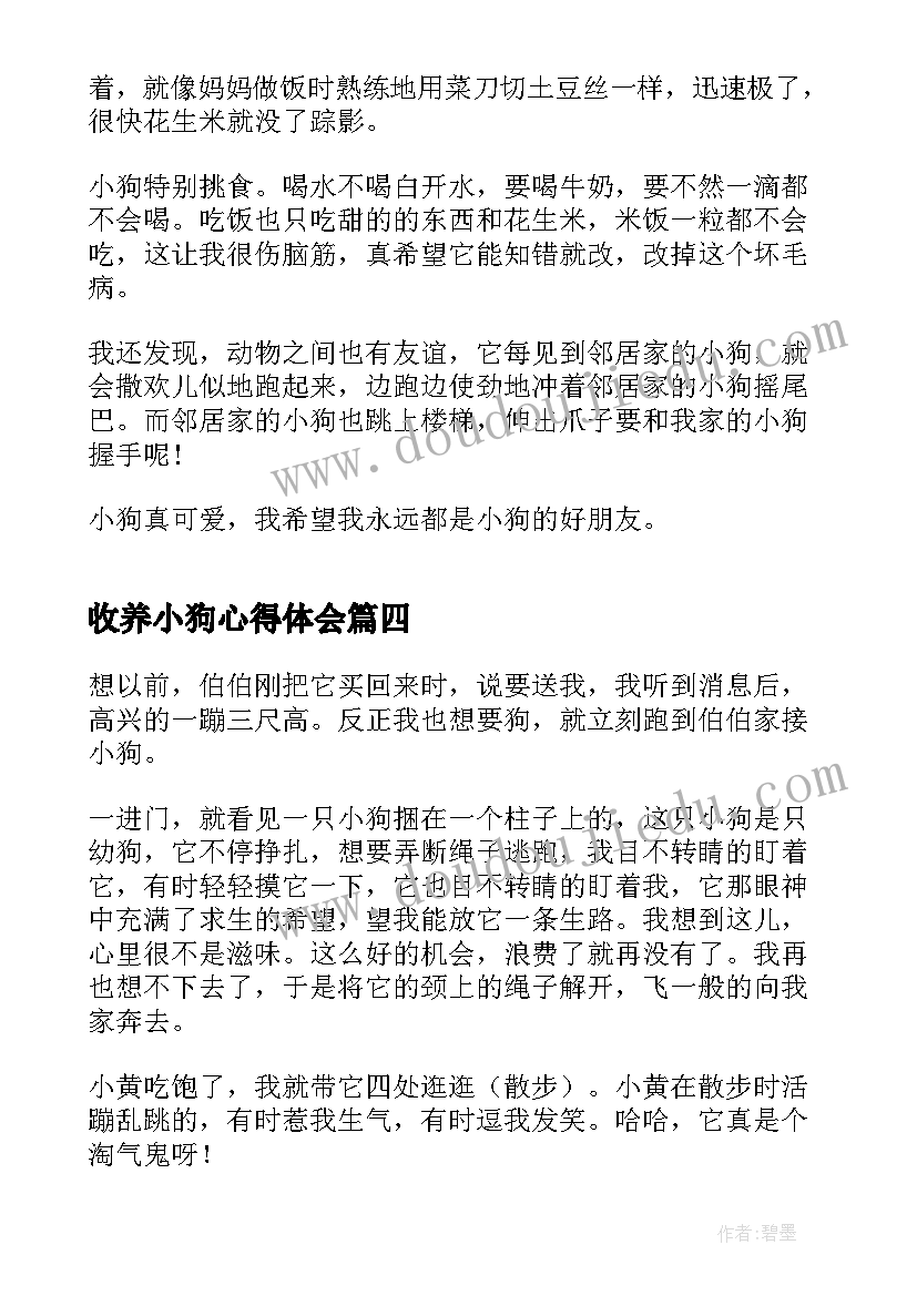 2023年收养小狗心得体会(优质5篇)