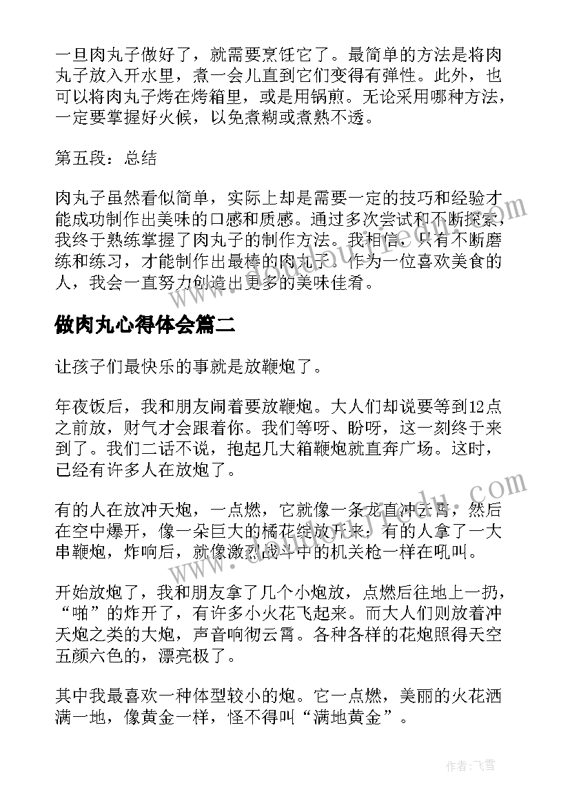 最新做肉丸心得体会(大全5篇)