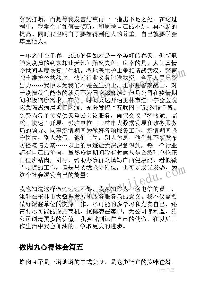 最新做肉丸心得体会(大全5篇)