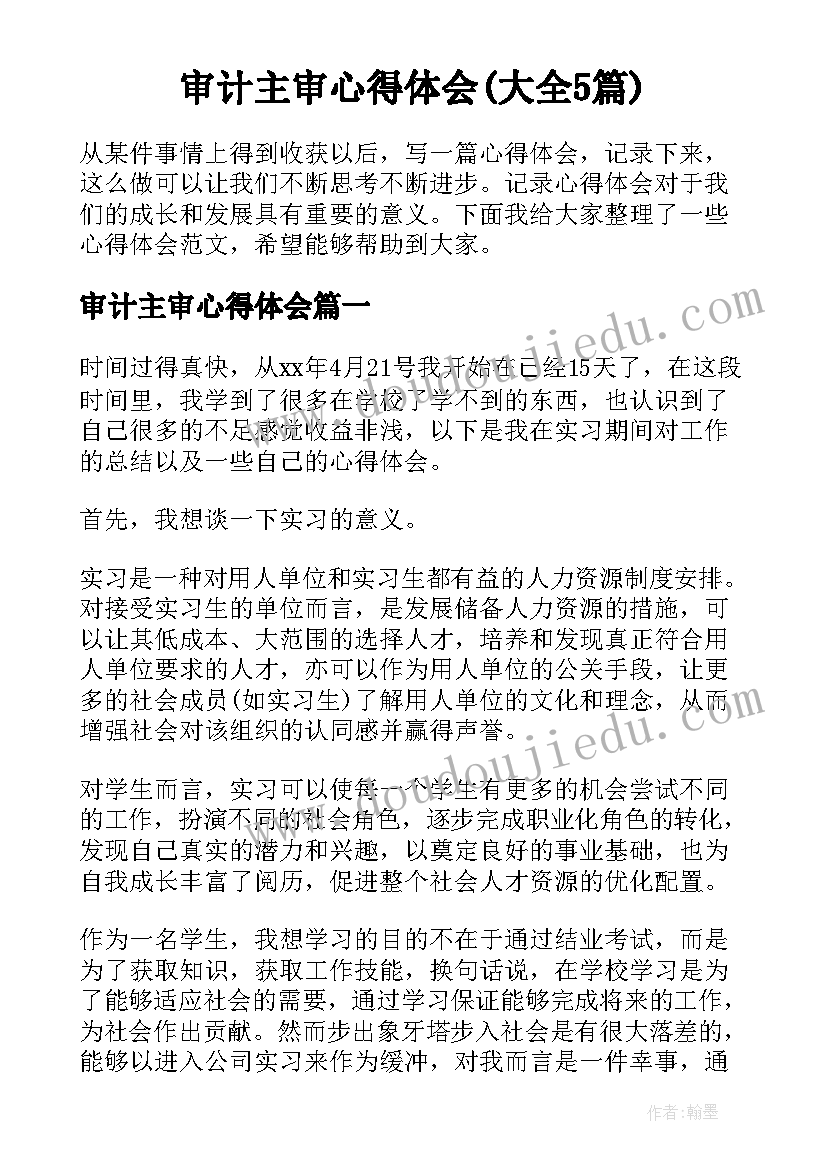 审计主审心得体会(大全5篇)