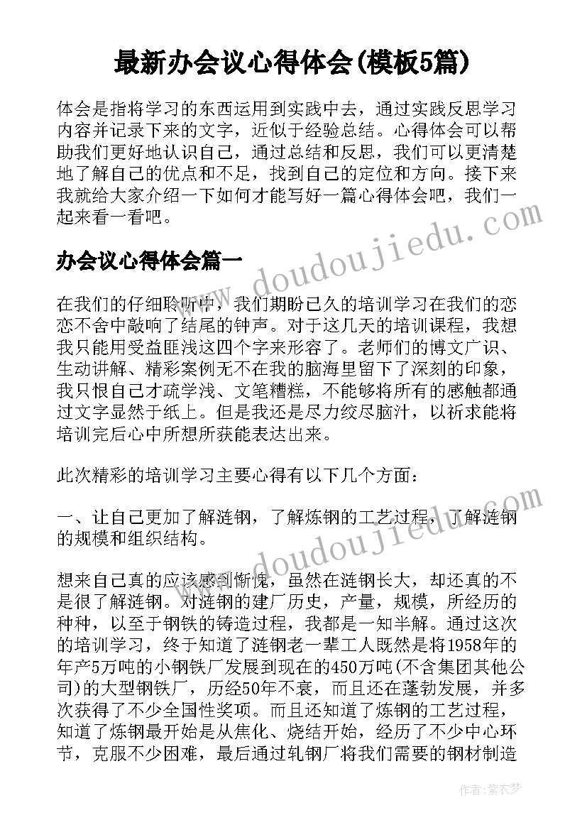 最新办会议心得体会(模板5篇)