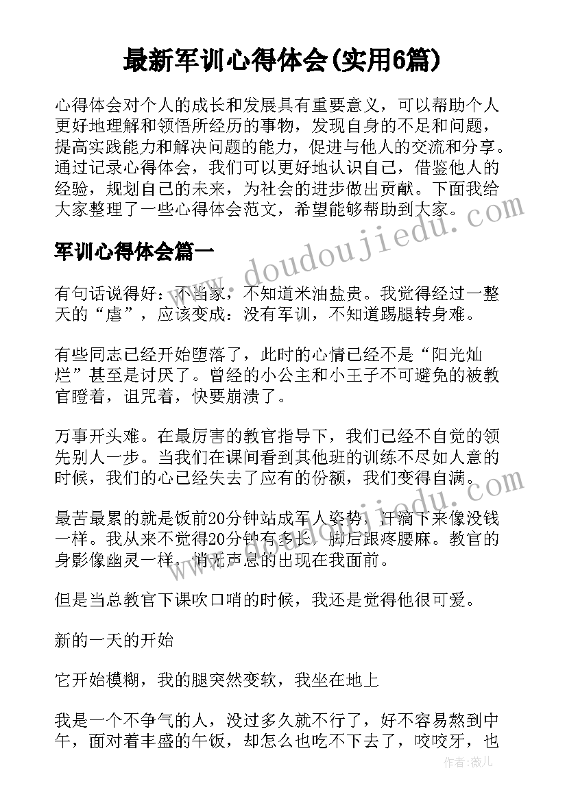 2023年幼儿园寻宝活动方案设计(模板7篇)