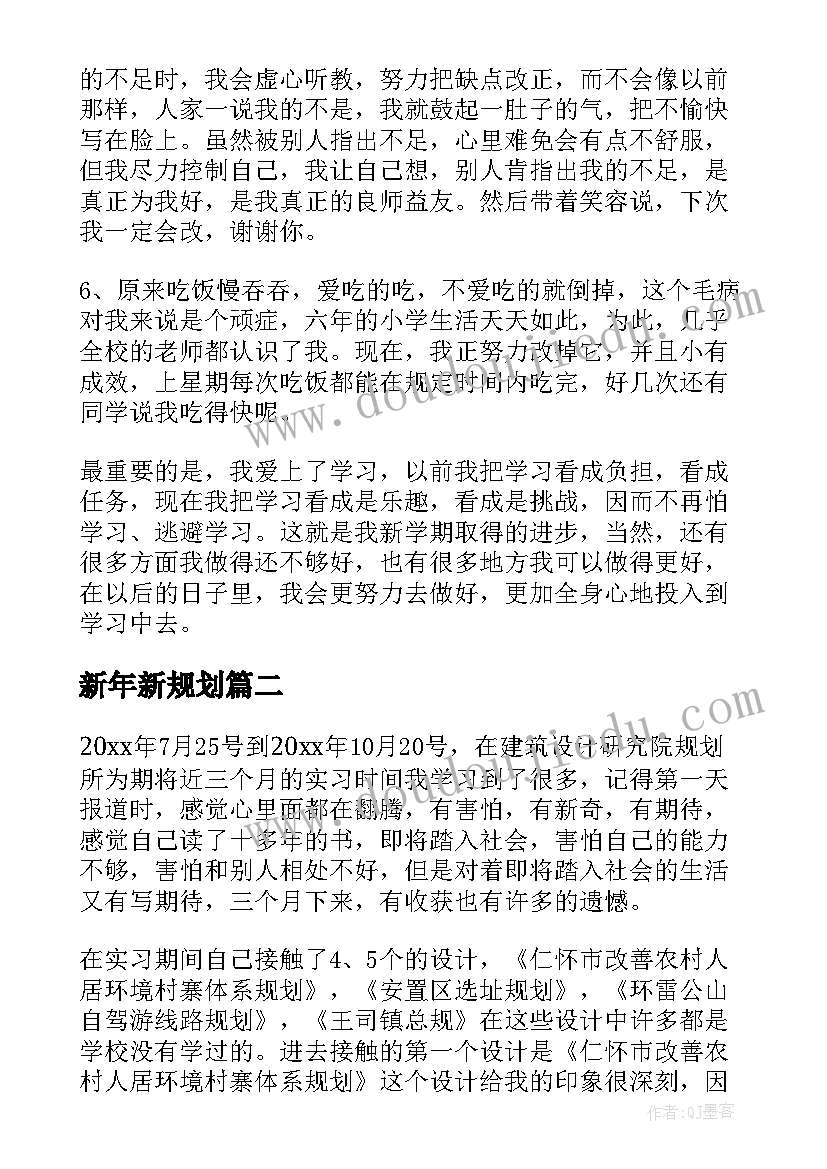 最新新年新规划(优秀7篇)