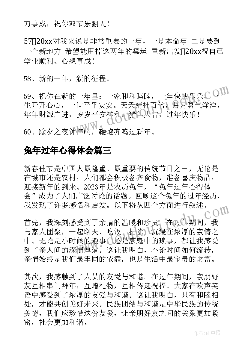 兔年过年心得体会(优秀8篇)