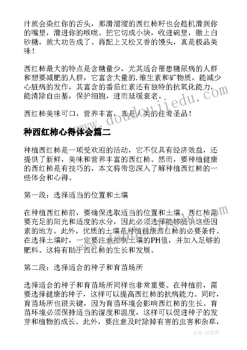 2023年种西红柿心得体会 西红柿说明文(通用7篇)