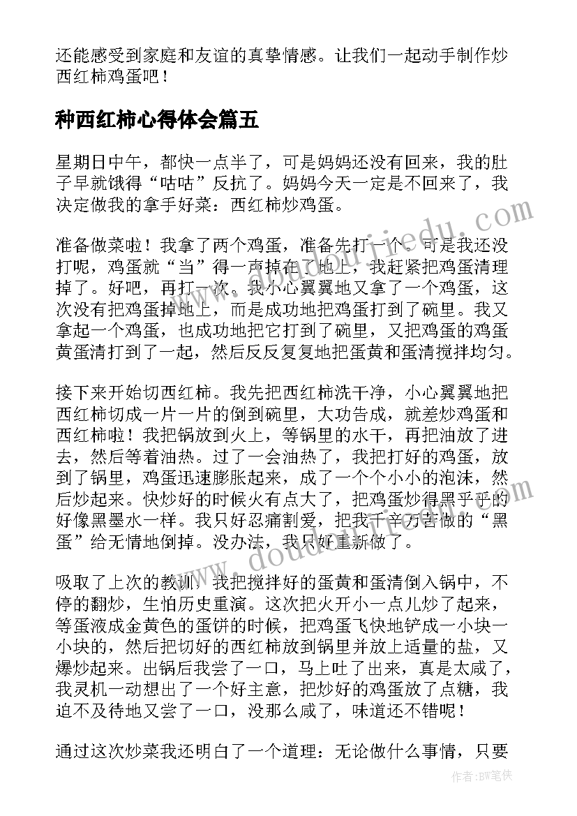 2023年种西红柿心得体会 西红柿说明文(通用7篇)