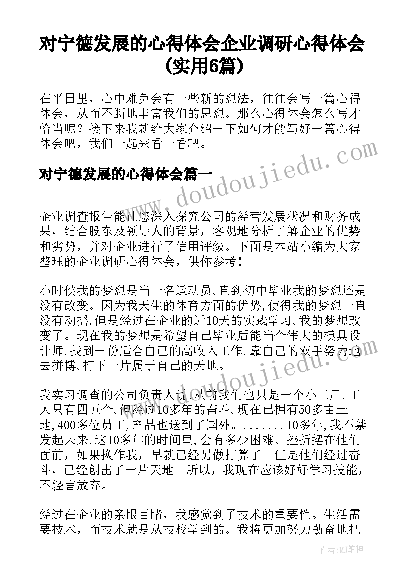 对宁德发展的心得体会 企业调研心得体会(实用6篇)