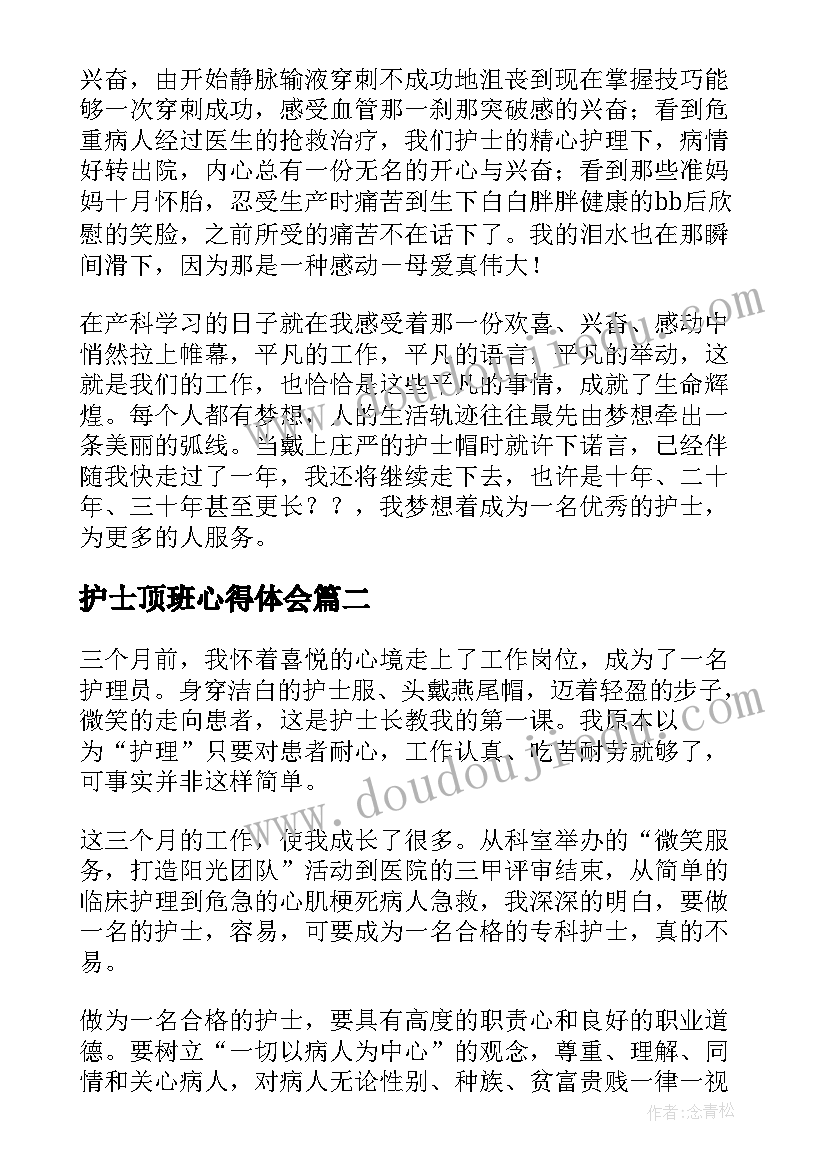 2023年护士顶班心得体会(大全6篇)