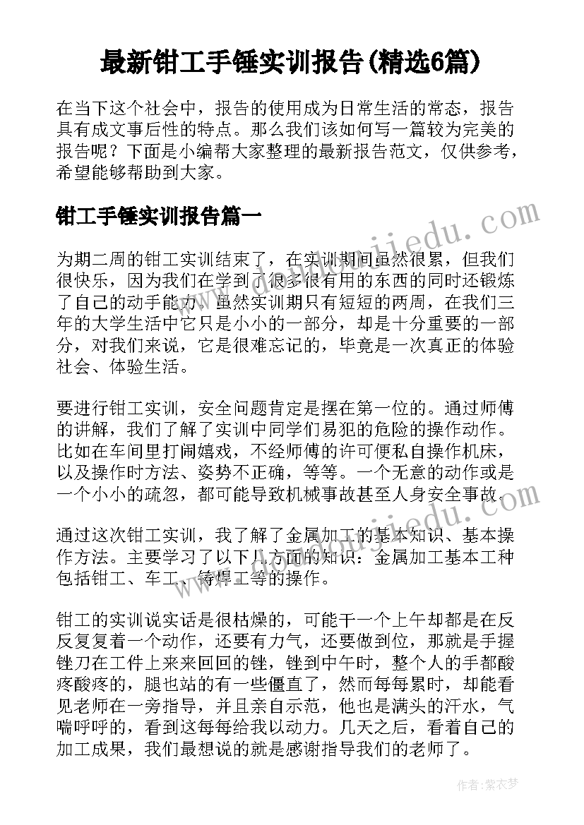 最新钳工手锤实训报告(精选6篇)