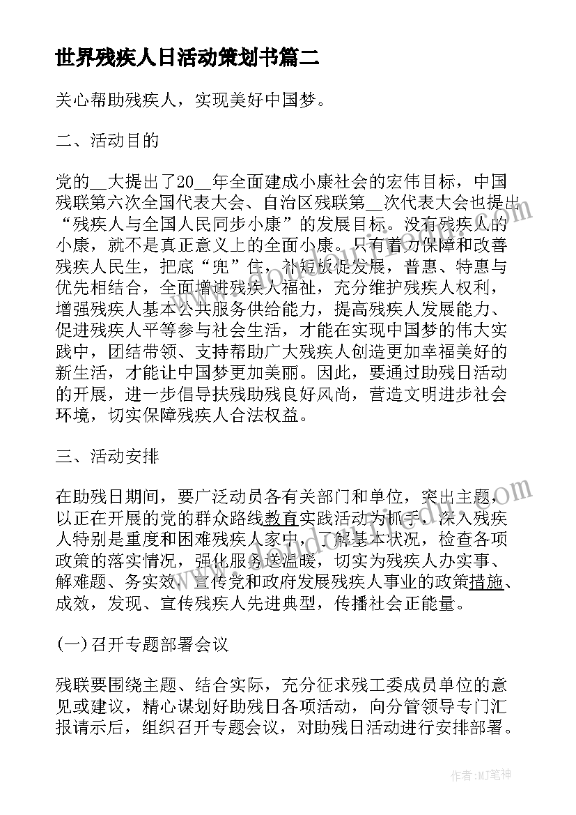 2023年世界残疾人日活动策划书 世界残疾人日的活动总结(模板5篇)