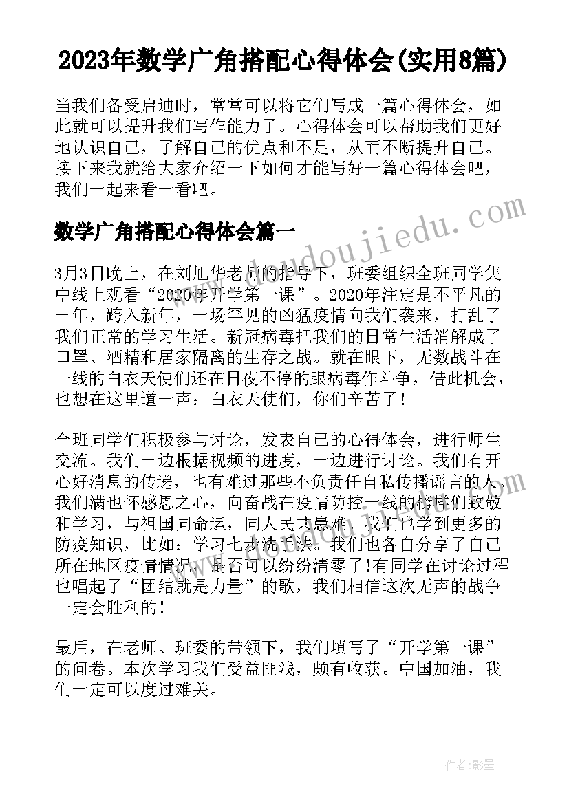 2023年数学广角搭配心得体会(实用8篇)