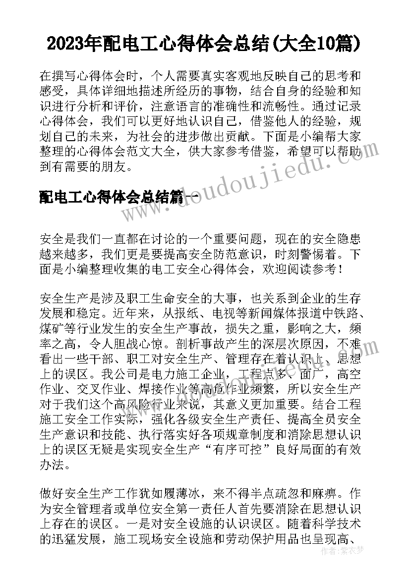 2023年配电工心得体会总结(大全10篇)