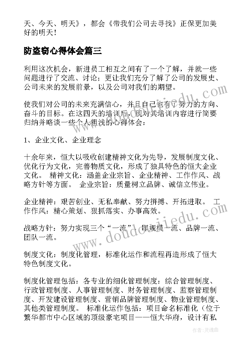 2023年防盗窃心得体会 山庄防盗工作总结(优质7篇)