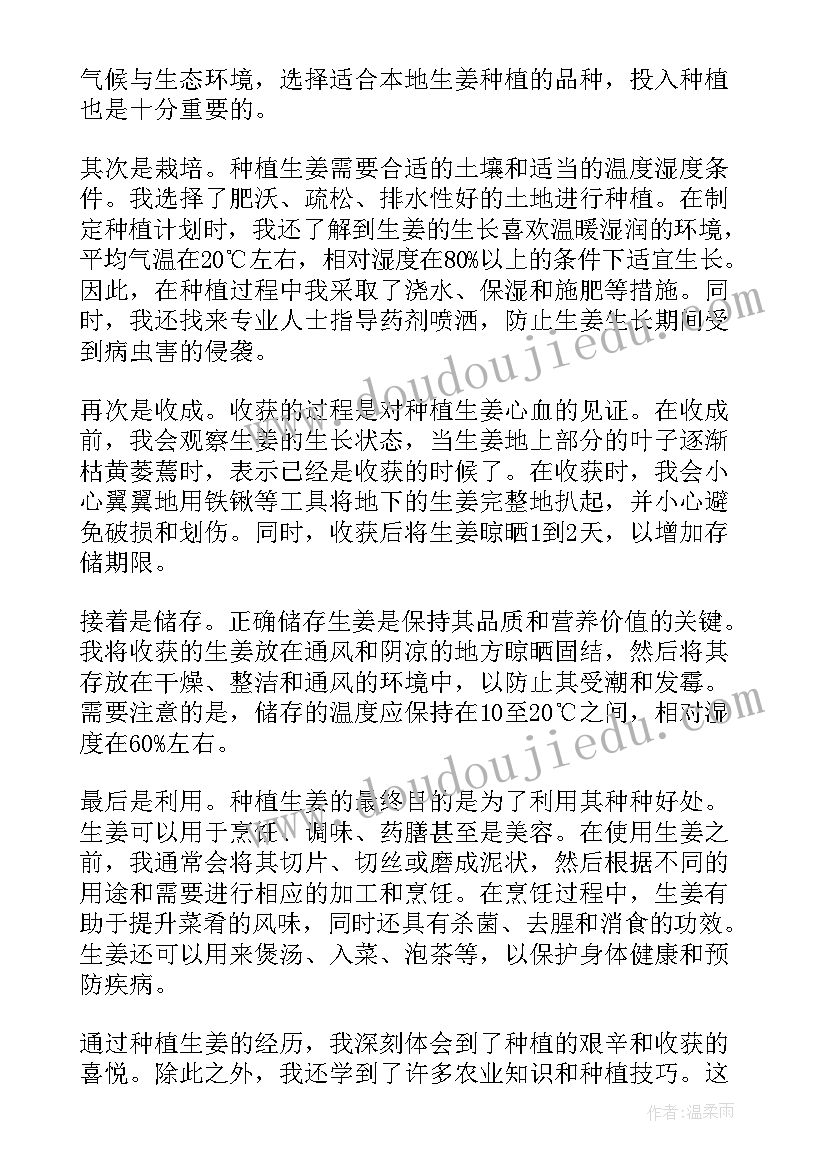 2023年种植生姜心得体会 种植生姜过程心得体会(优秀5篇)