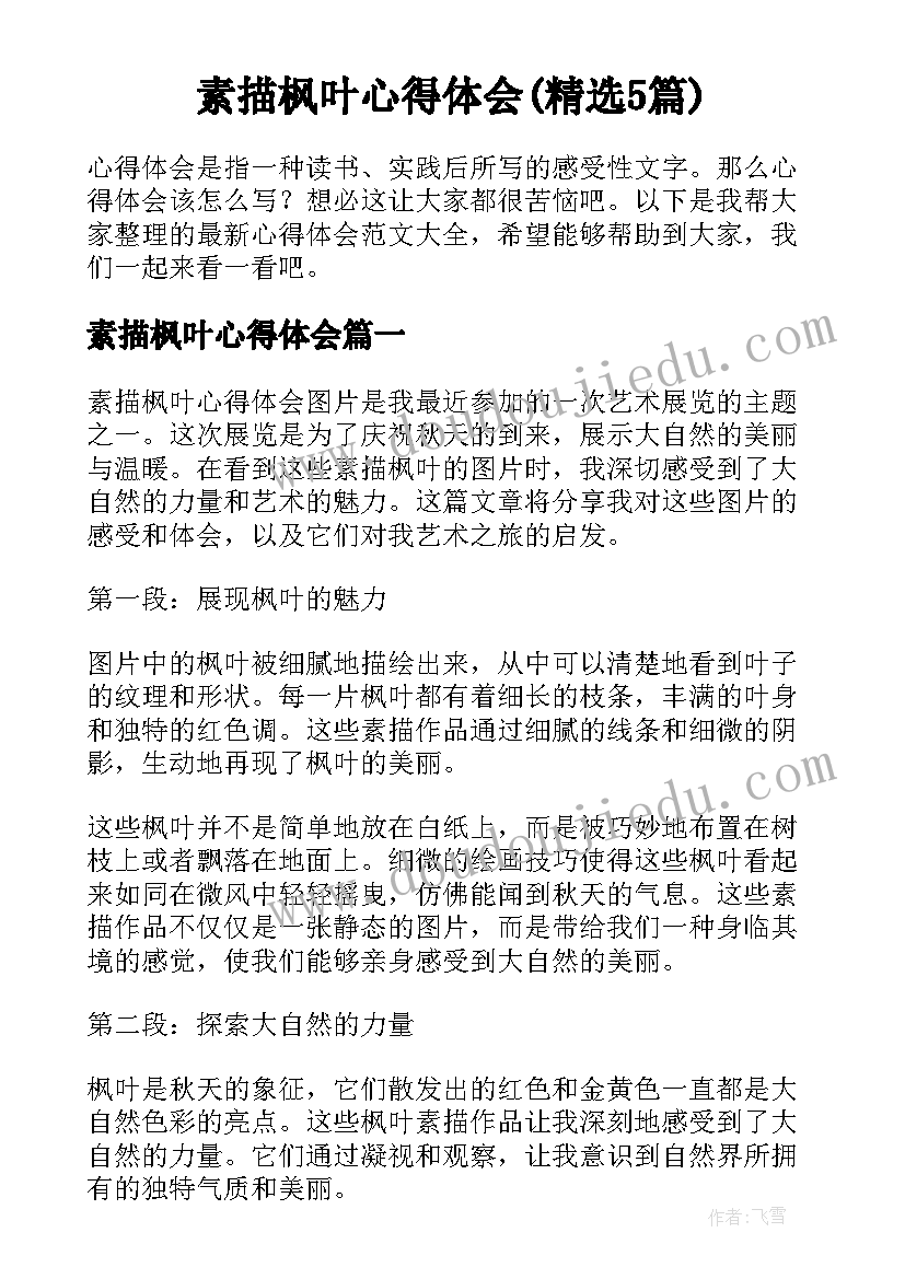 素描枫叶心得体会(精选5篇)