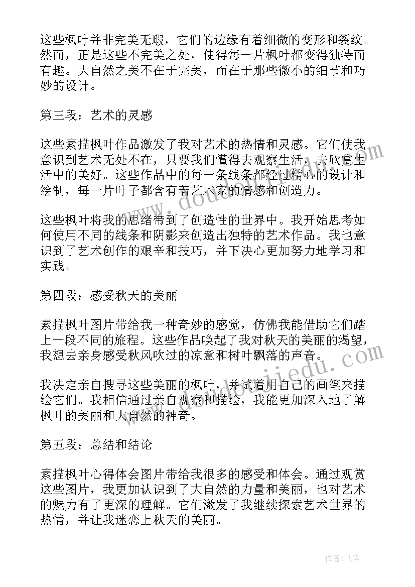 素描枫叶心得体会(精选5篇)