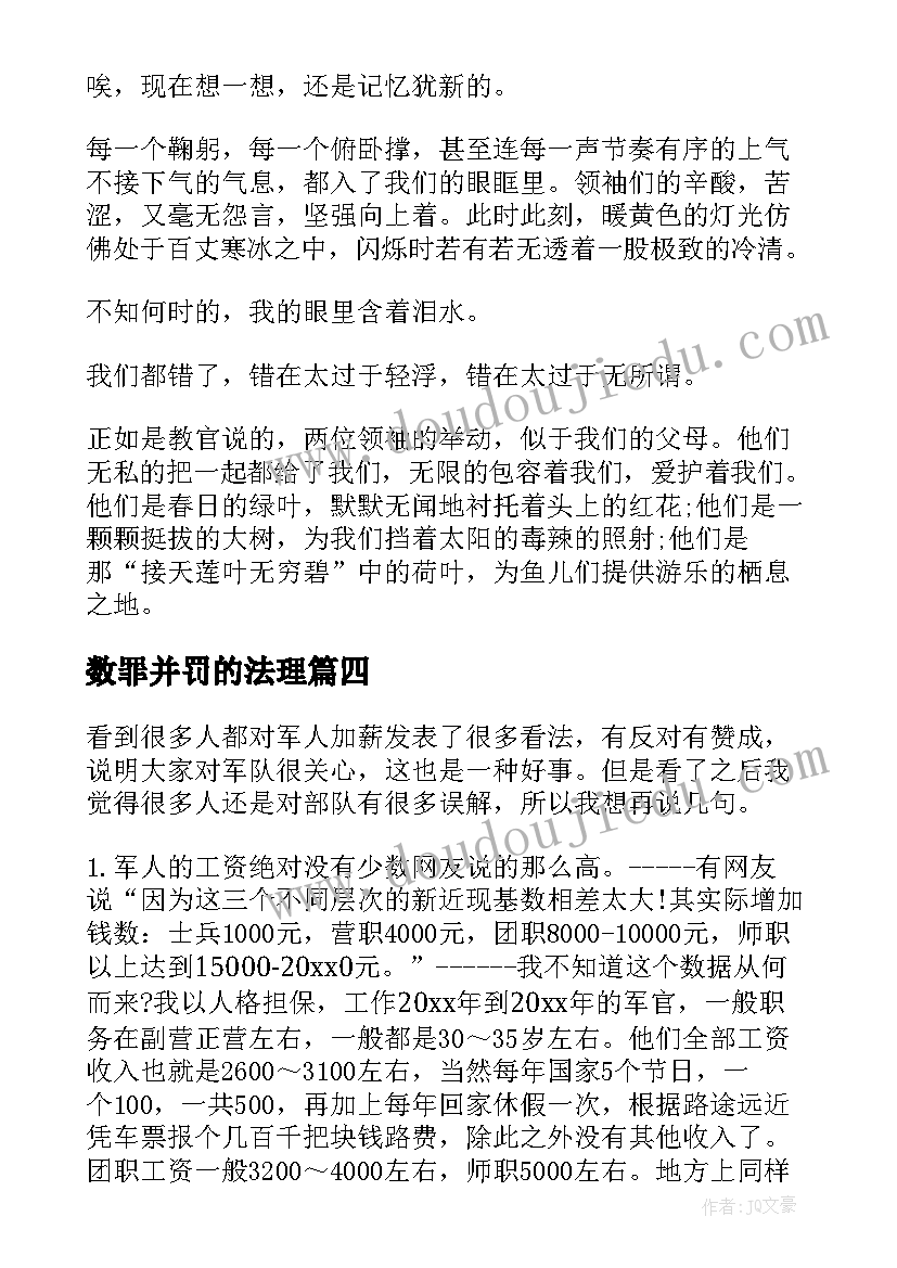 数罪并罚的法理 精神心得体会(优质7篇)