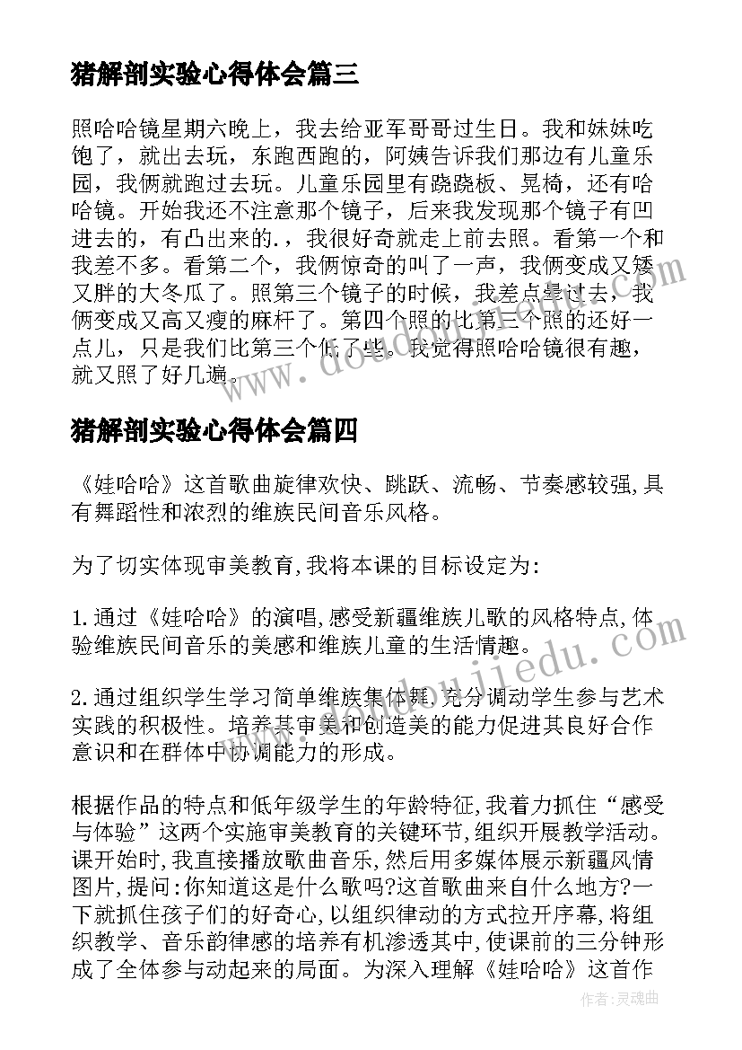 猪解剖实验心得体会(模板10篇)