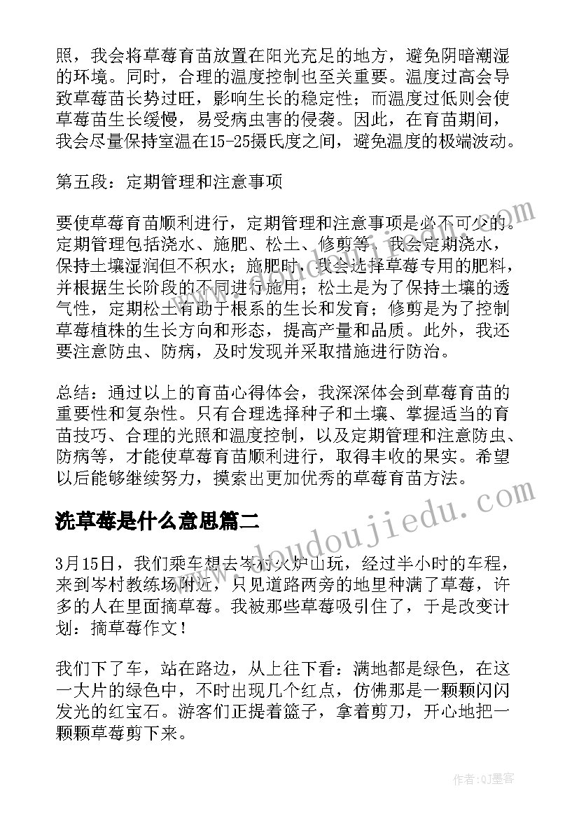 最新洗草莓是什么意思 草莓育苗心得体会(模板8篇)