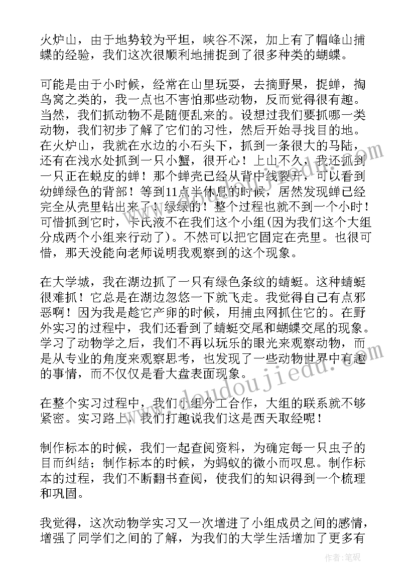 2023年裁剪心得体会怎么写(汇总5篇)