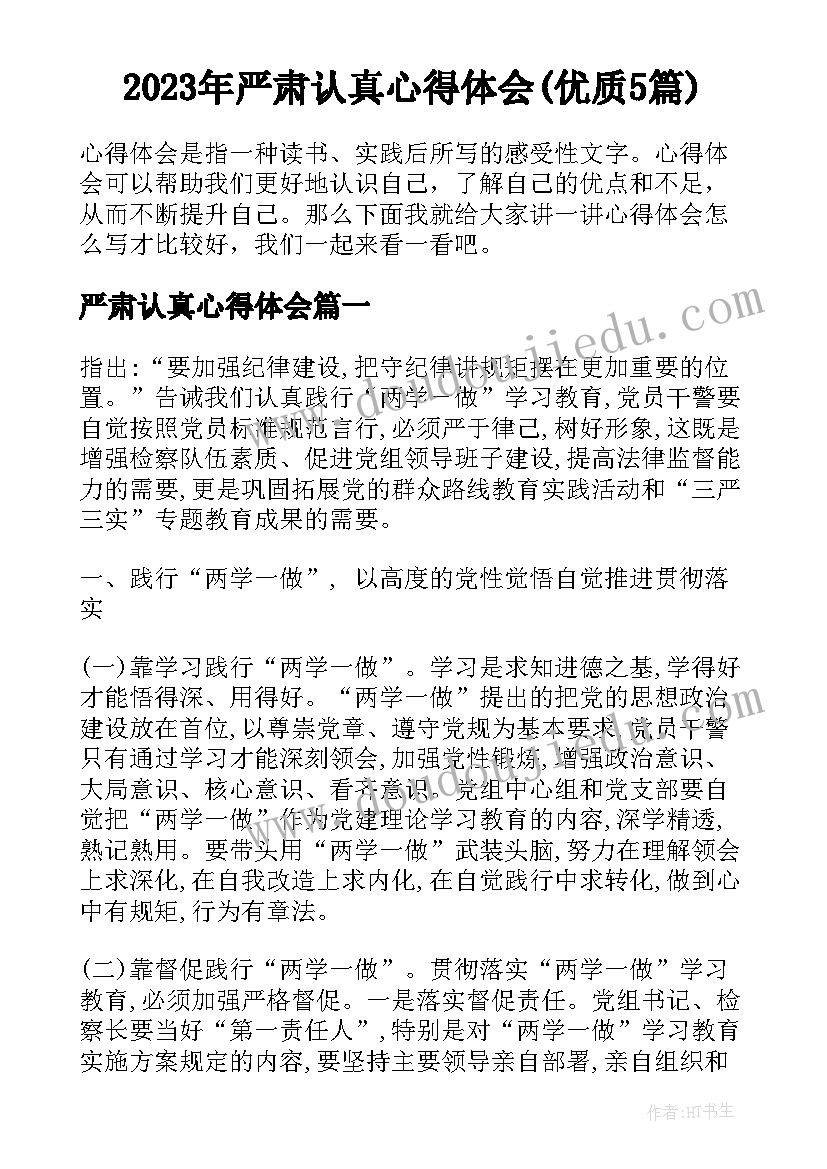 2023年严肃认真心得体会(优质5篇)