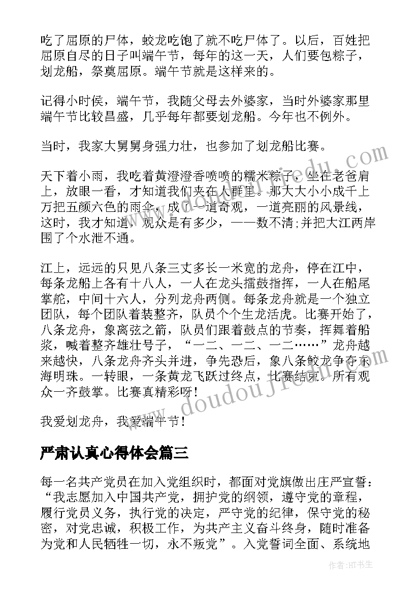 2023年严肃认真心得体会(优质5篇)