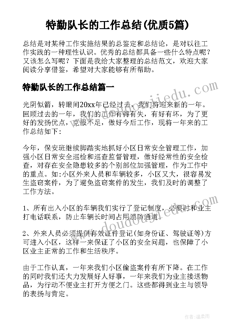 特勤队长的工作总结(优质5篇)