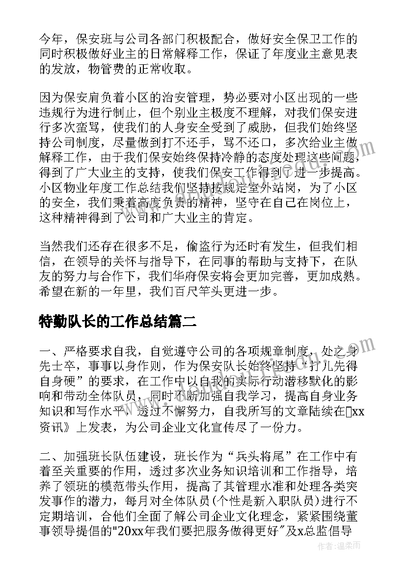 特勤队长的工作总结(优质5篇)