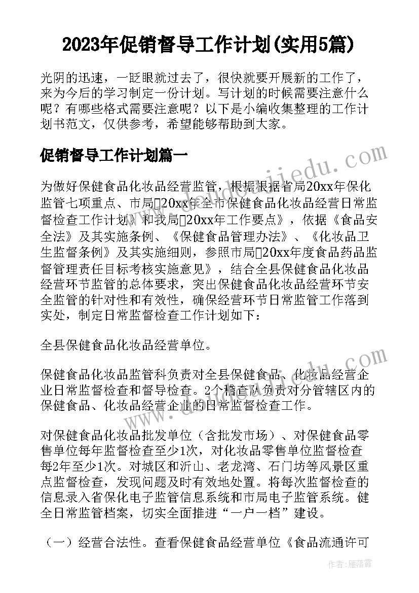 2023年促销督导工作计划(实用5篇)