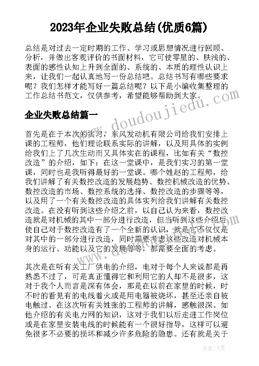 2023年企业失败总结(优质6篇)